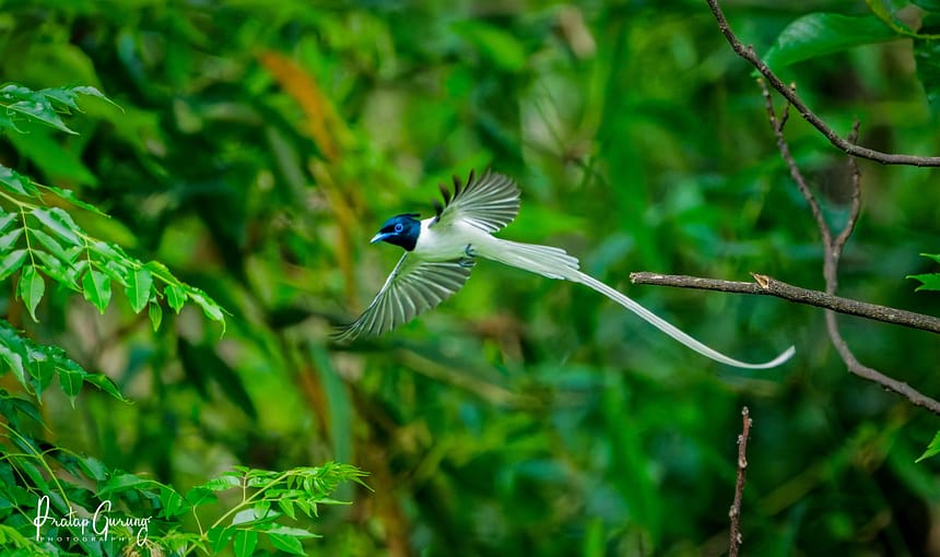 Privacy Policy 1 Privacy Policy